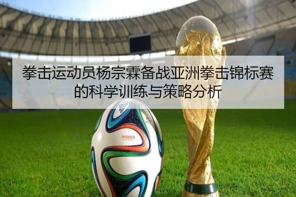拳击运动员杨宗霖备战亚洲拳击锦标赛的科学训练与策略分析 - LEJING